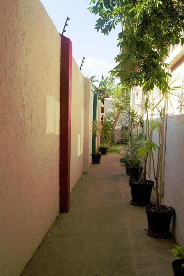 Houghton Guest House Johannesburg Dış mekan fotoğraf